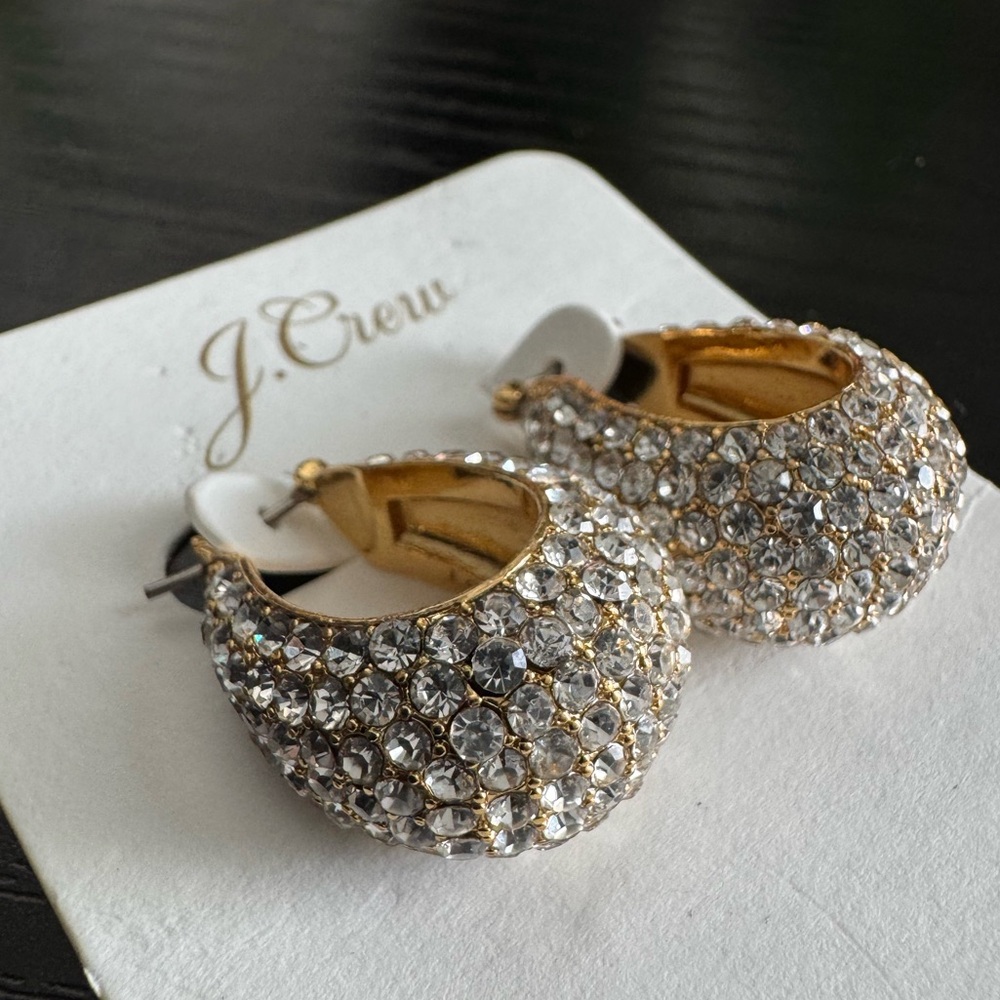 J. Crew earringsgs